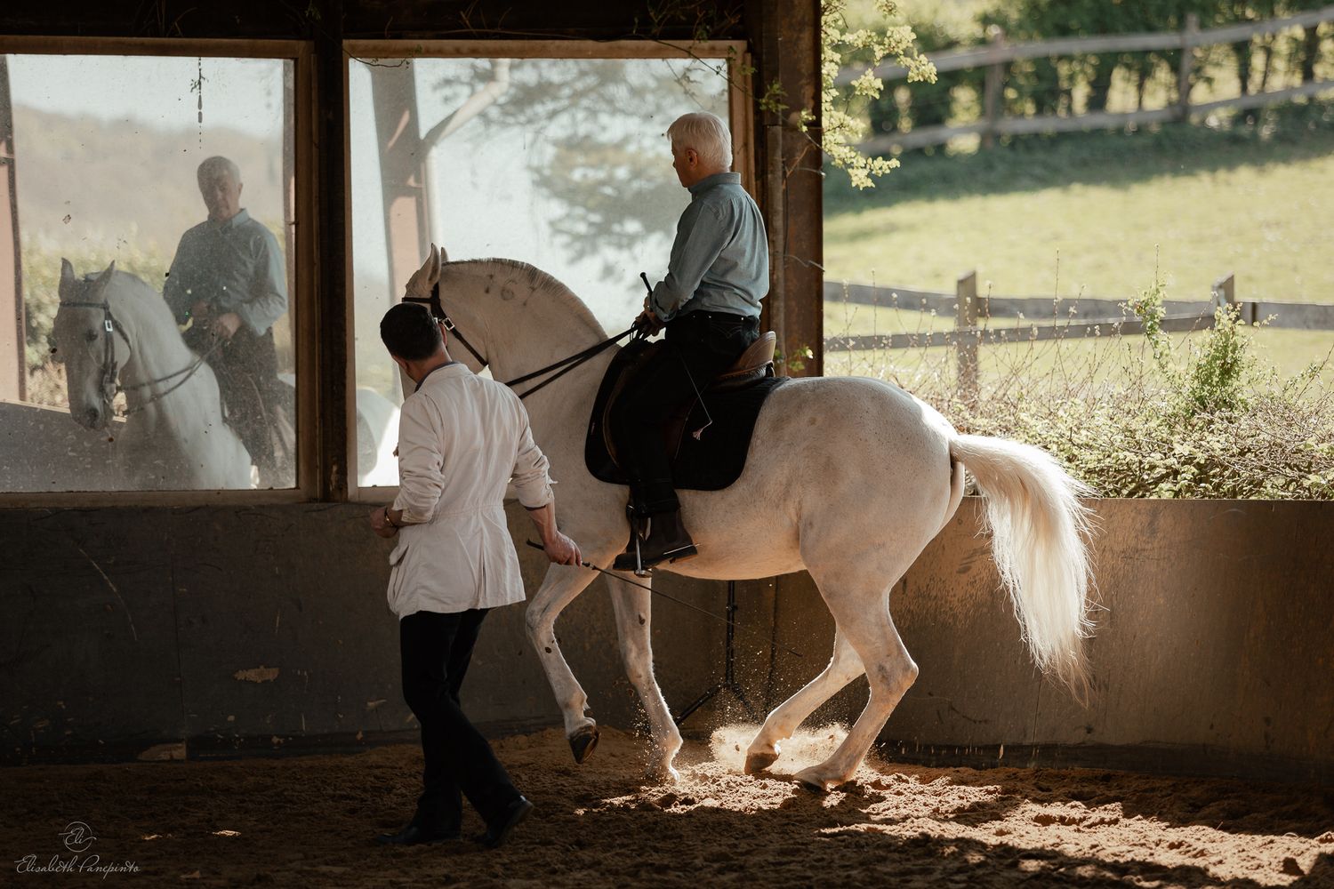 Reportage photo stage équestre dressage équitation en Belgique. Photographe équin