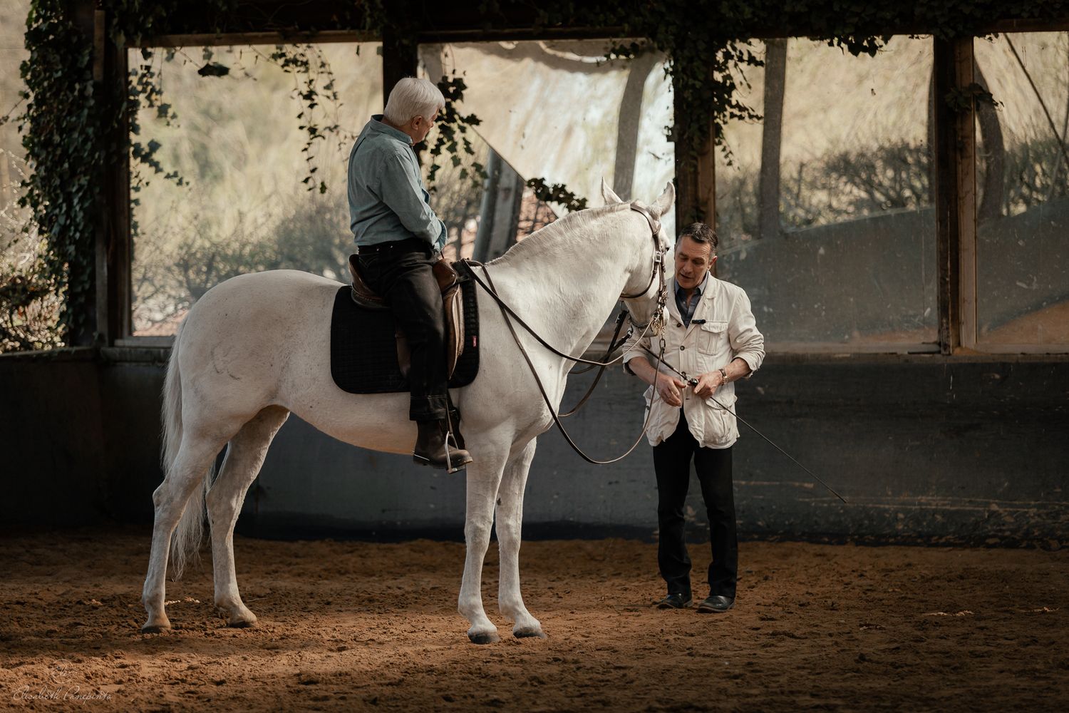 Reportage photo stage équestre dressage équitation en Belgique. Photographe équin