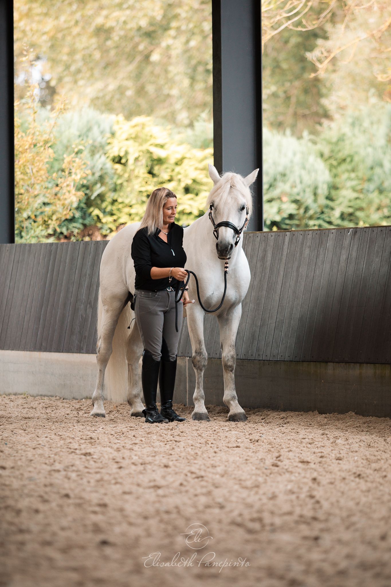 Photographe famille et chien Belgique.  Photographe canin et équin. Stage équestre, chevaux de dressage. Photographie
