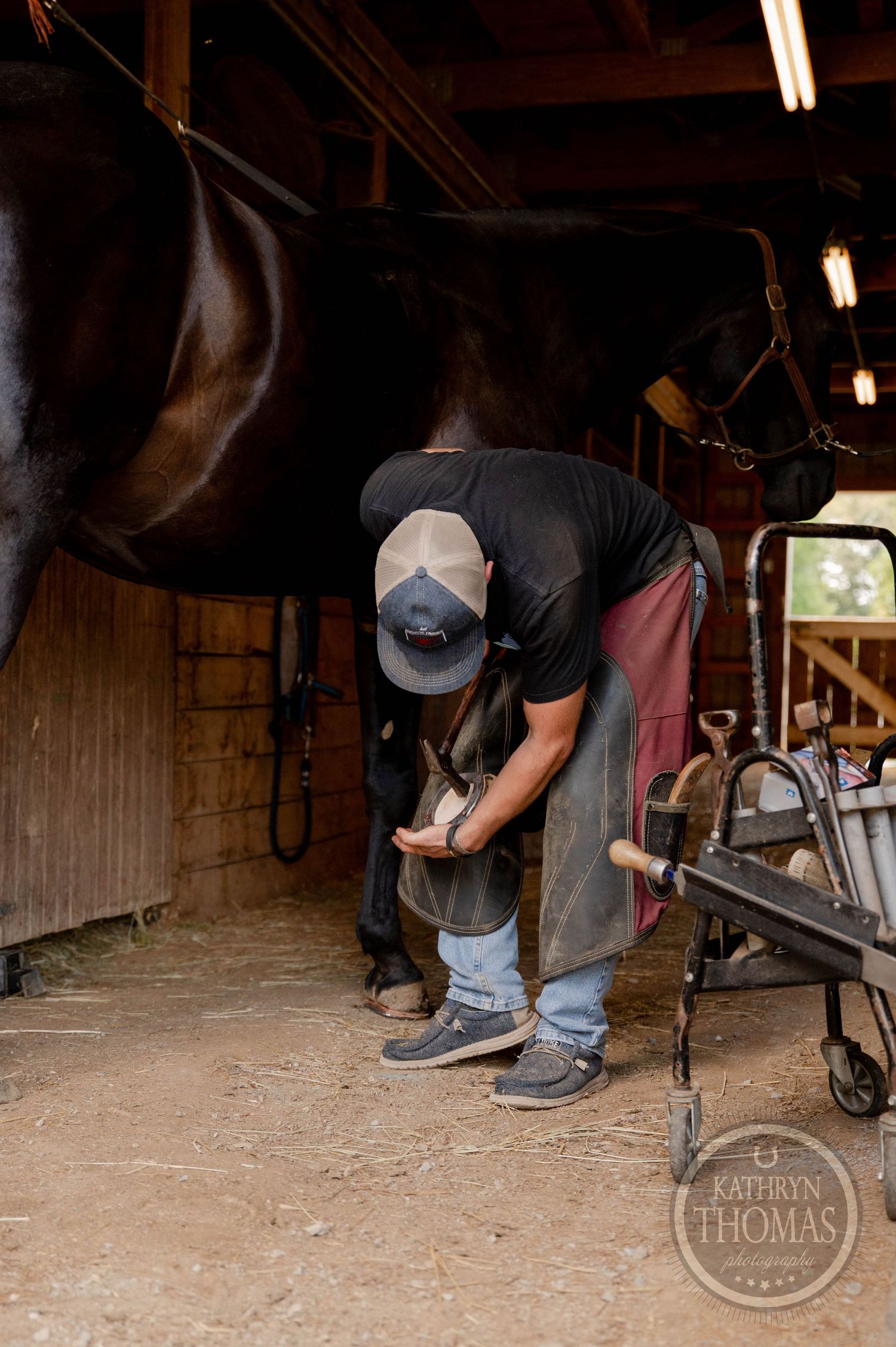 Skilled farrier in a cap works on maintaining a horse's hooves in a barn.