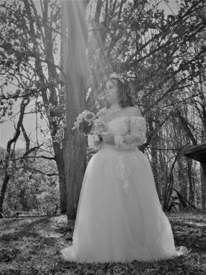 A whimsical woodland photo shows someone wearing a full white ballgown among tall trees.