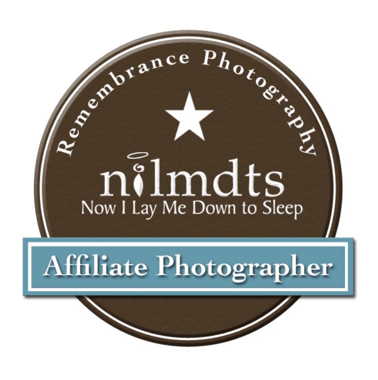 Row of vintage-style photography business logos in brown and blue colors.