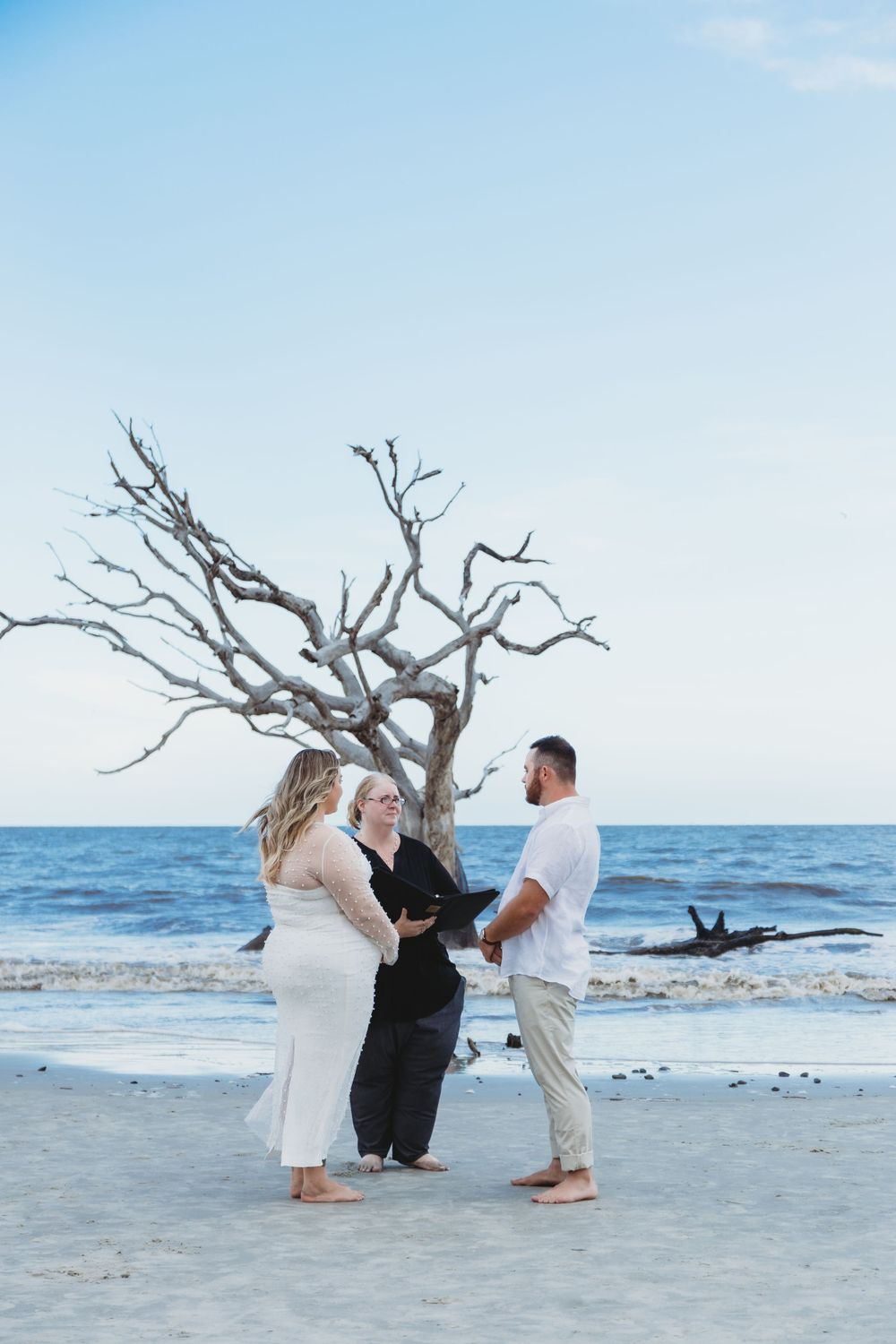 Beach wedding ceremony with driftwood tree and ocean backdrop at sunset.
