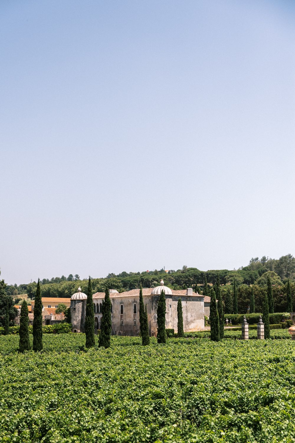 Vineyard wedding venue at Palácio da Bacalhôa in Portugal countryside