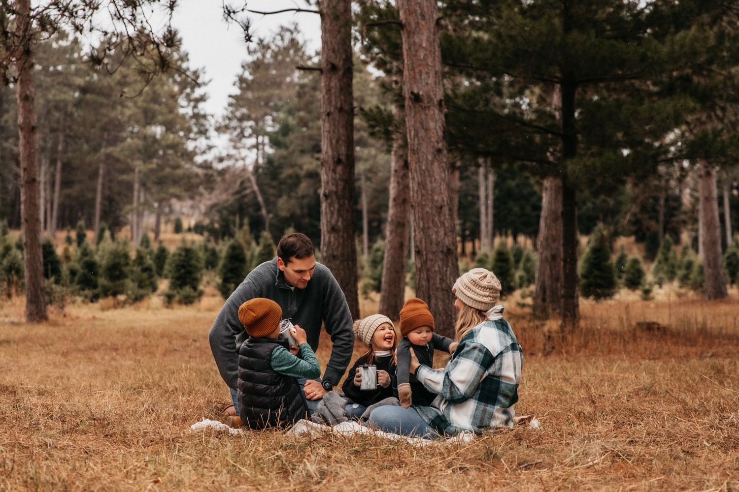 A family laughs together on a blanket while drinking cocoa at a tree farm mini session for Twin Cities family photography