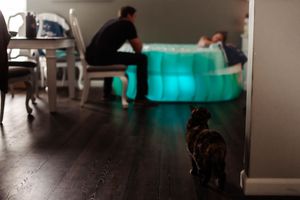 A dark room with an illuminated turquoise inflatable birth pool and a black dog in the foreground.