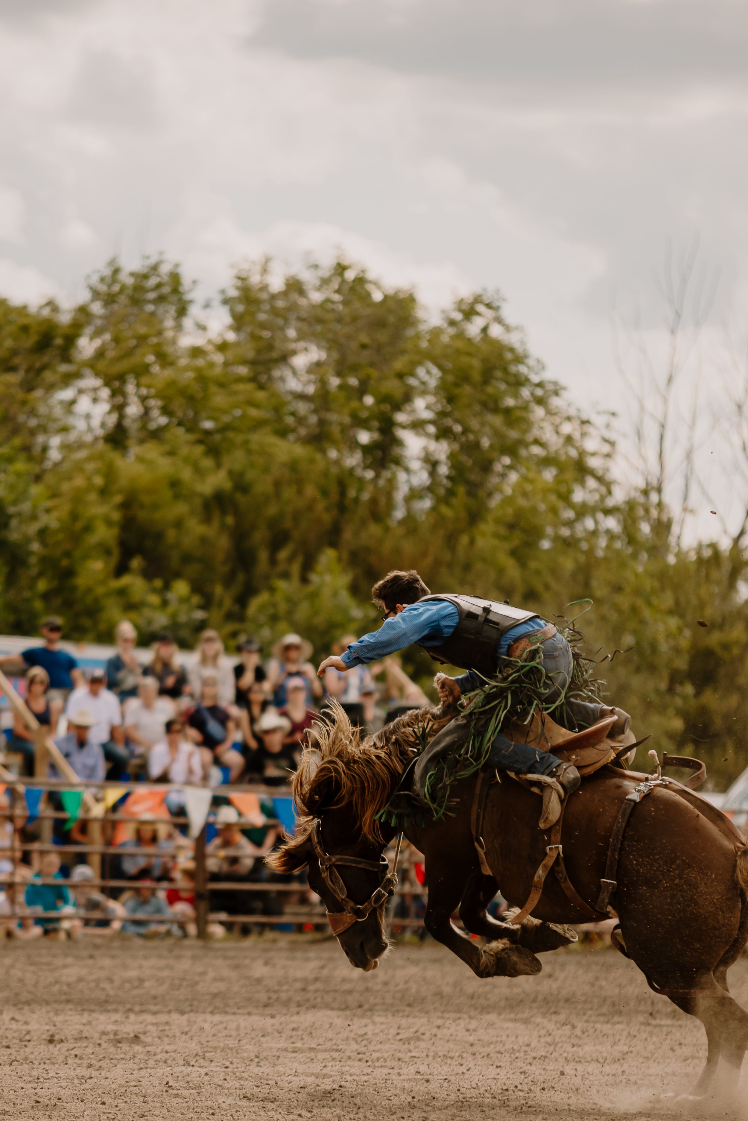 Sequence of a bronc rider being thrown from a bucking horse during a rodeo competition with spectators watching.