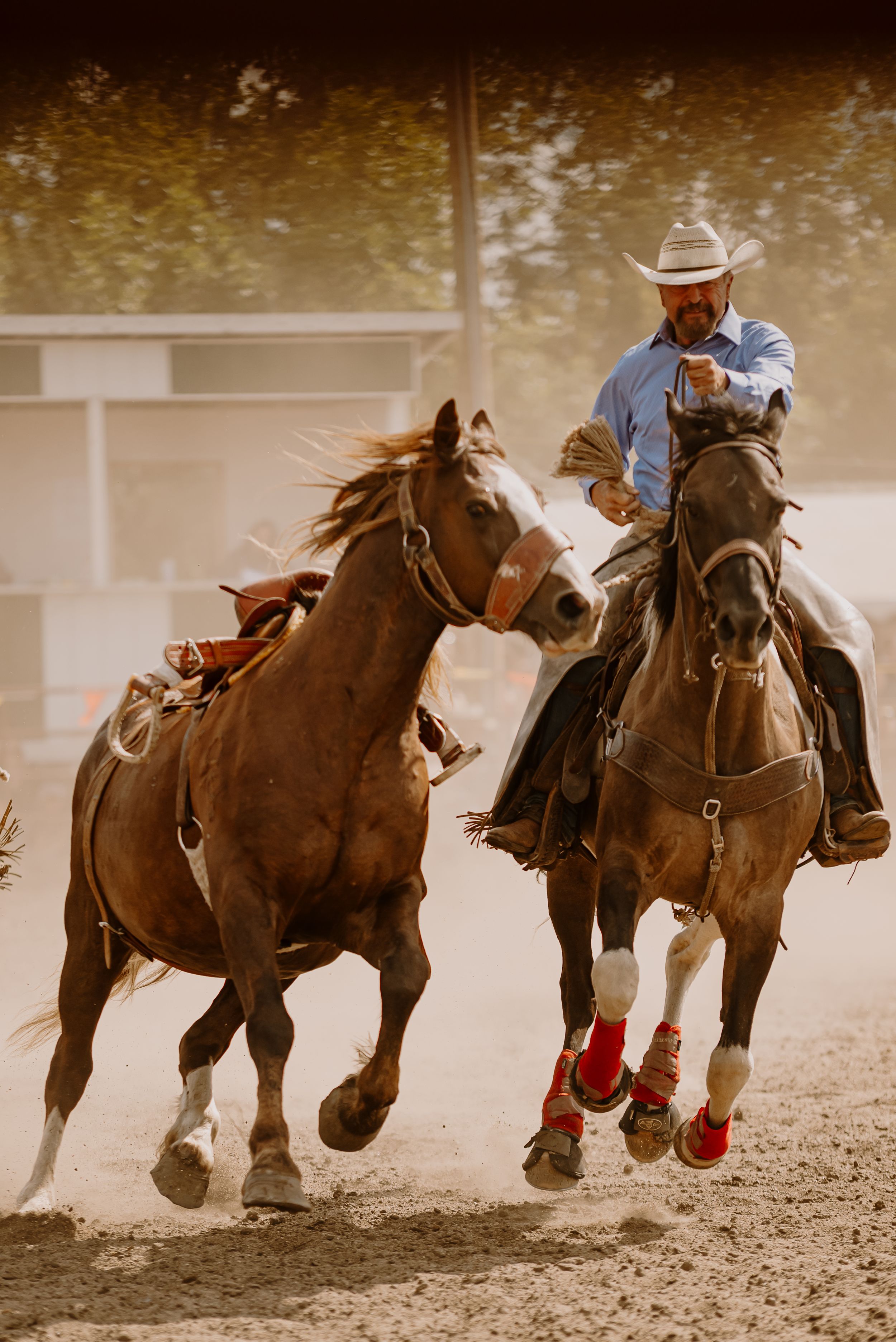 A cowboy on horseback chases a running horse in a dusty rodeo arena during a western competition event.