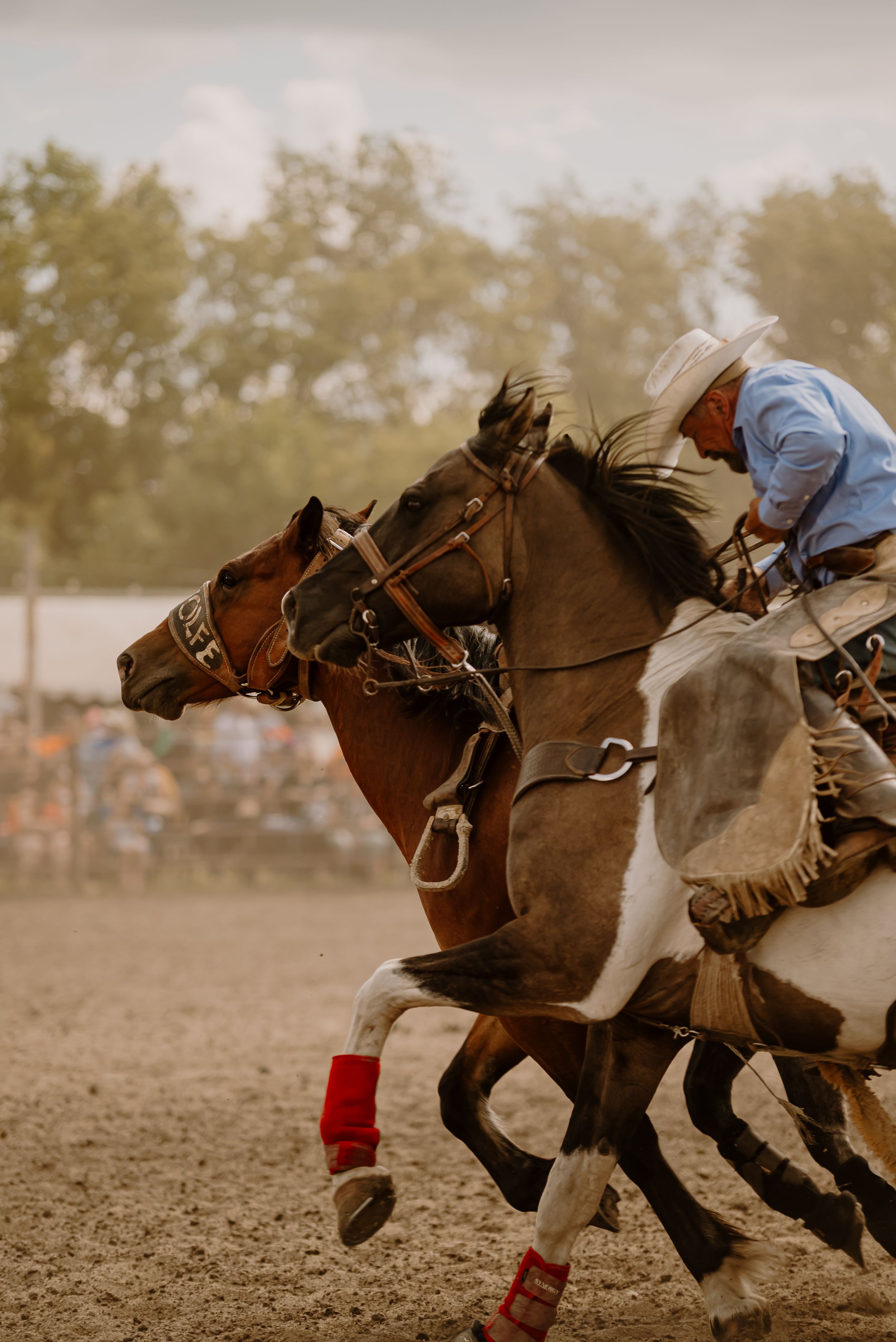Action shot of horses and riders racing in a competitive rodeo event with dust flying in the air.