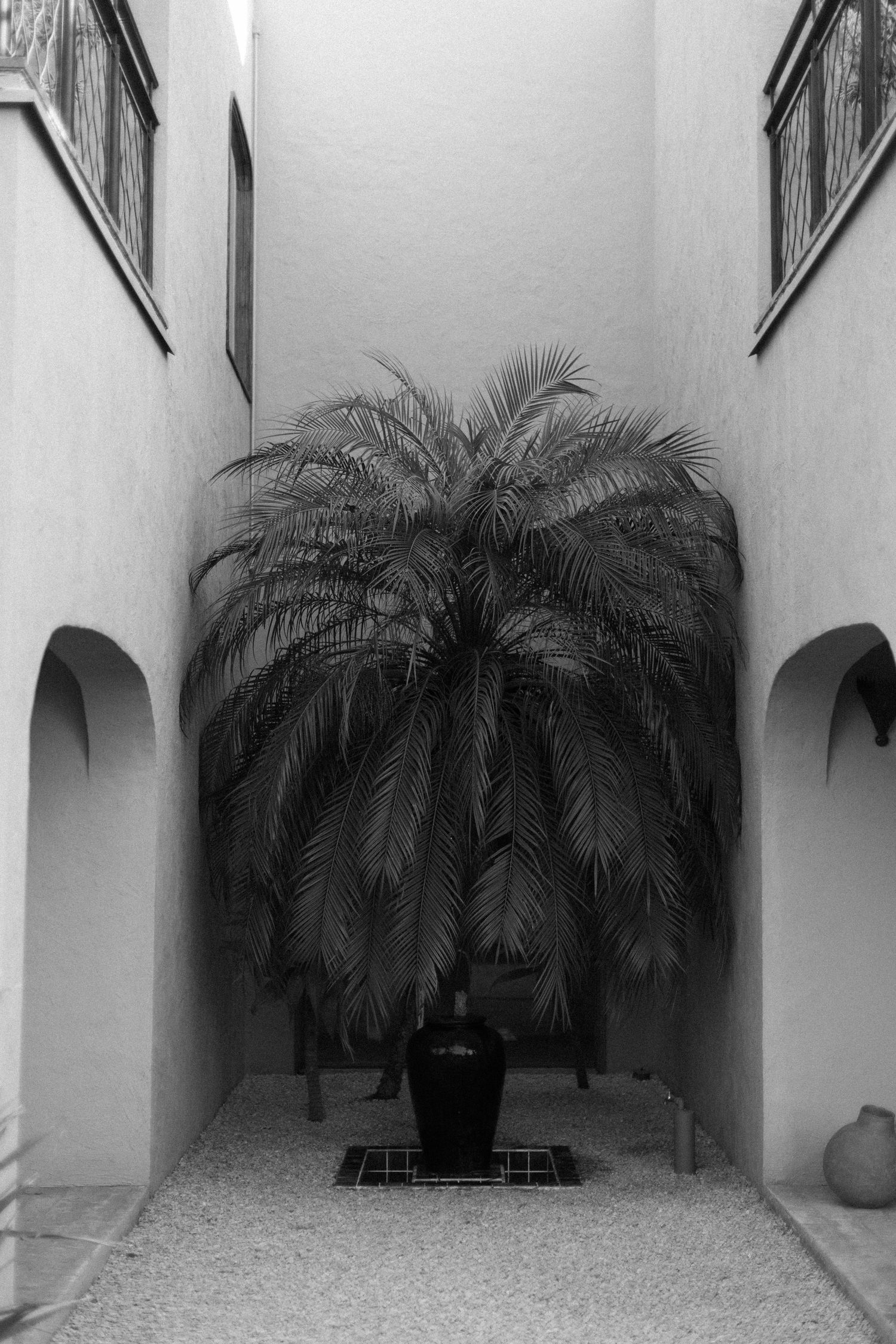 A minimalist courtyard with white walls and symmetrical palm trees creating a monochromatic architectural scene.