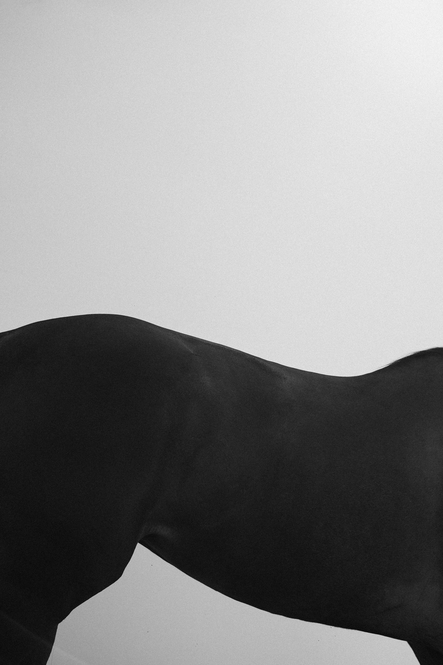 Abstract black silhouettes against white background creating minimalist landscape composition.