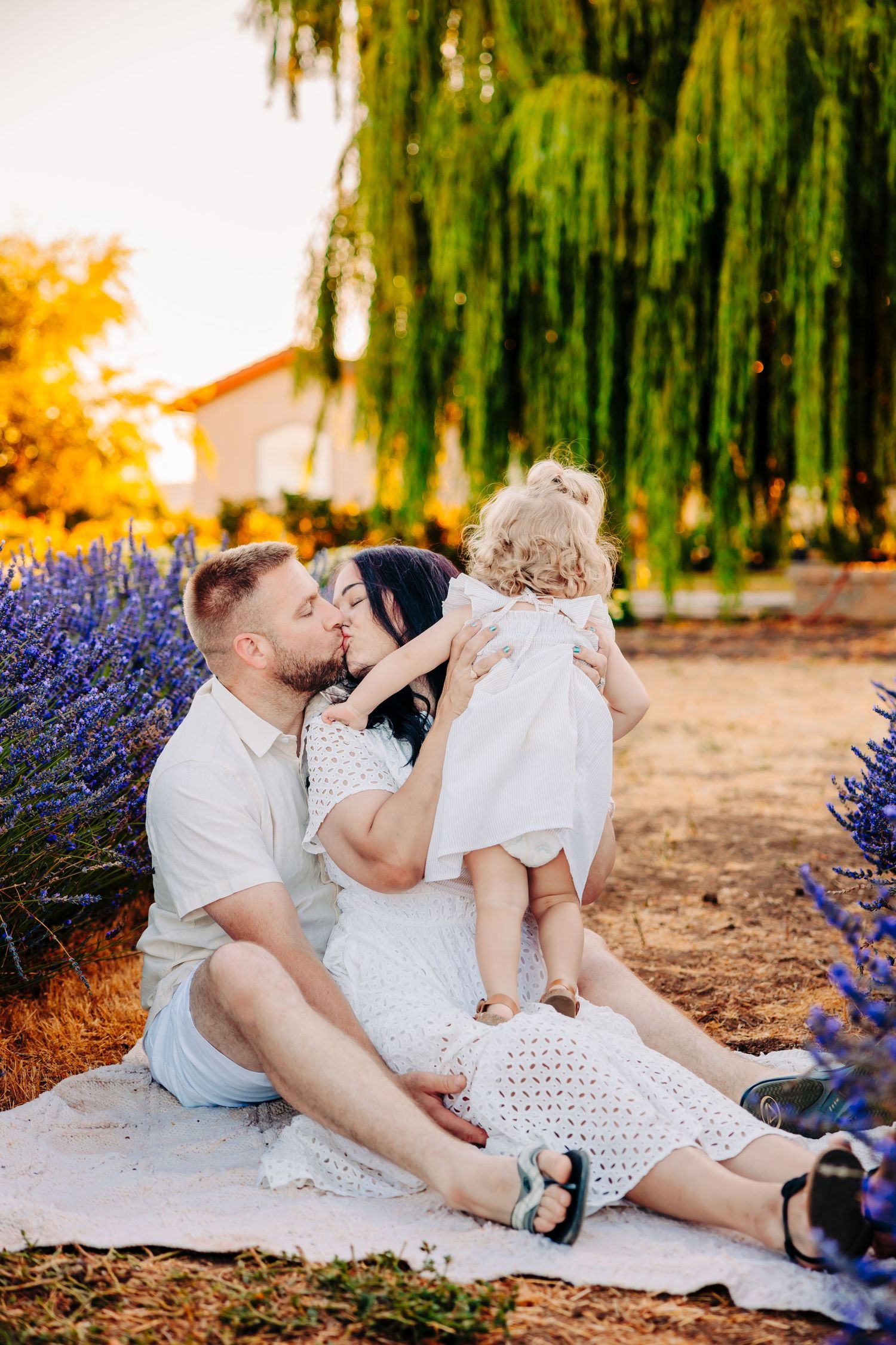 Family in white outfits walks along garden path with blooming purple lavender and weeping willow trees at sunset.
