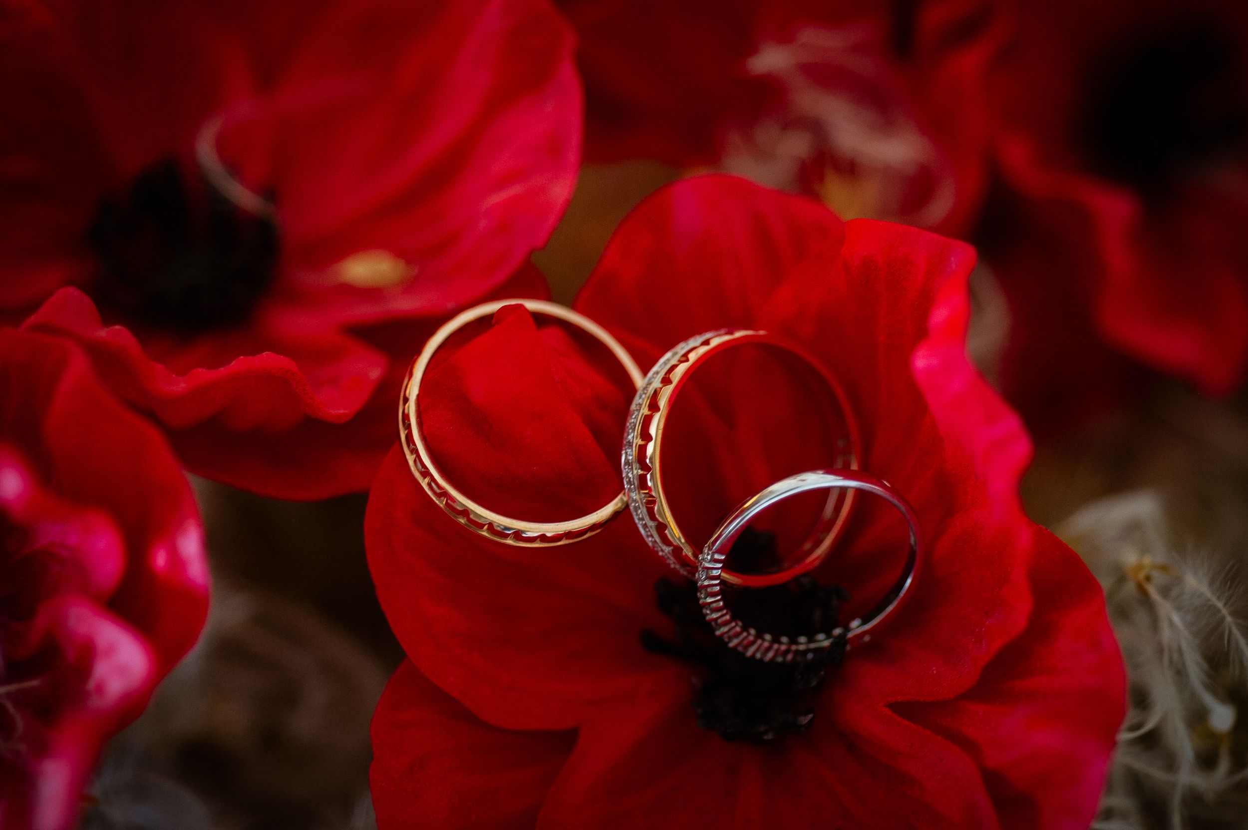 les alliances mariage en Provence, dans le sud de la France