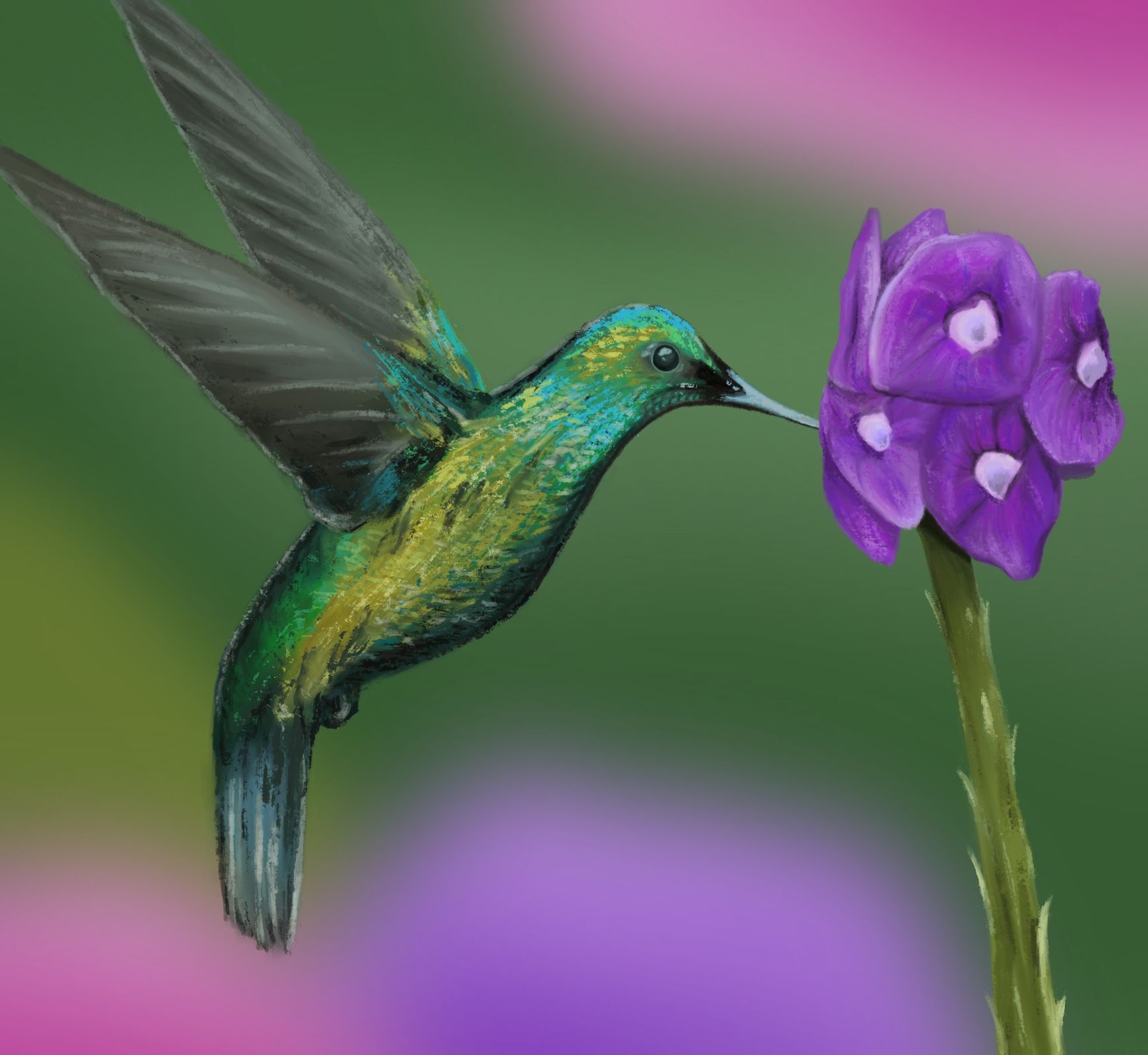 Digital Drawing of a humming bird and a purple flower.