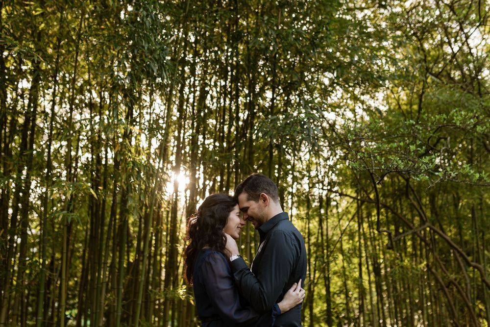 Couple embracing in bamboo forest during pre wedding photoshoot in Gulbenkian Garden Lisbon