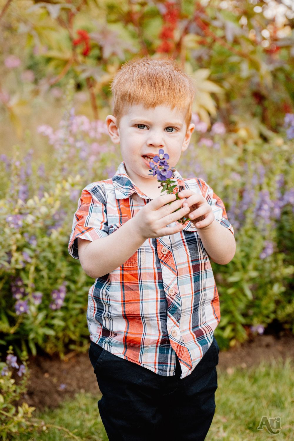Red-haired toddler boy in plaid shirt holding purple wildflowers in a colorful garden setting.