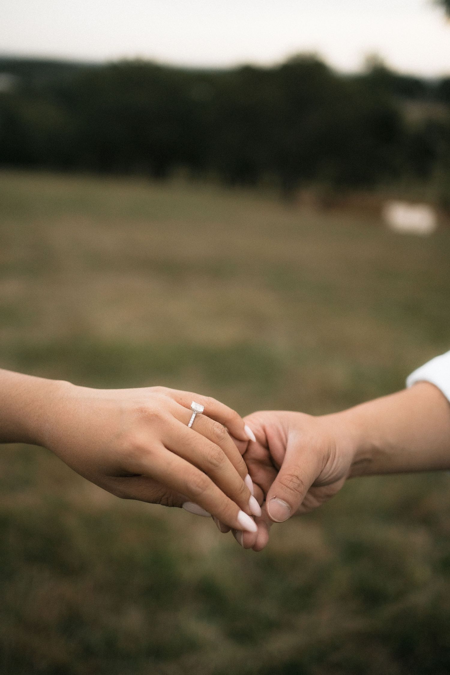 Two hands reaching towards each other against a blurred natural background in a tender gesture.