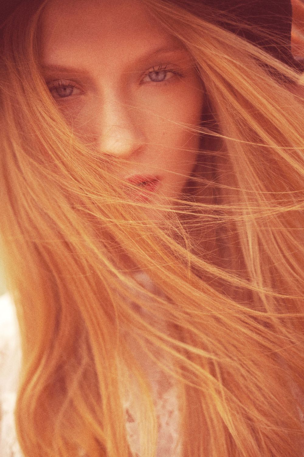 Beauty photo by Lauren Loncar. Orange hue at sunset.