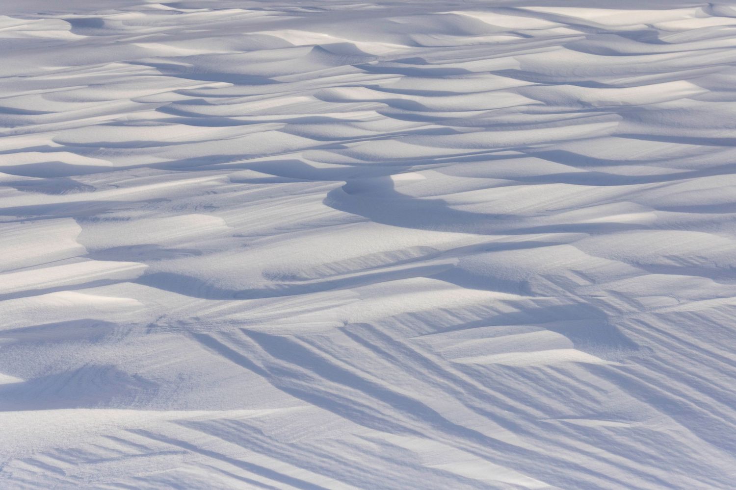 Snowfield in the Canadian Rockies, Banff National Park, Alberta, Canada