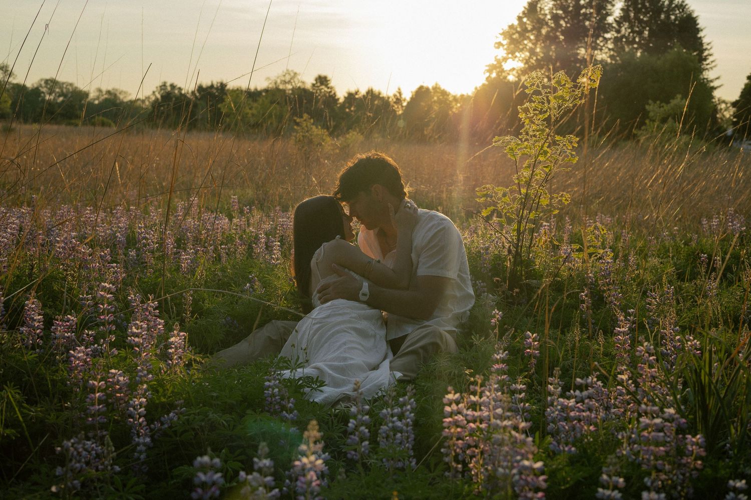 A couple holding hands walks through a golden sunlit meadow at sunset, silhouetted against the warm glowing light.
