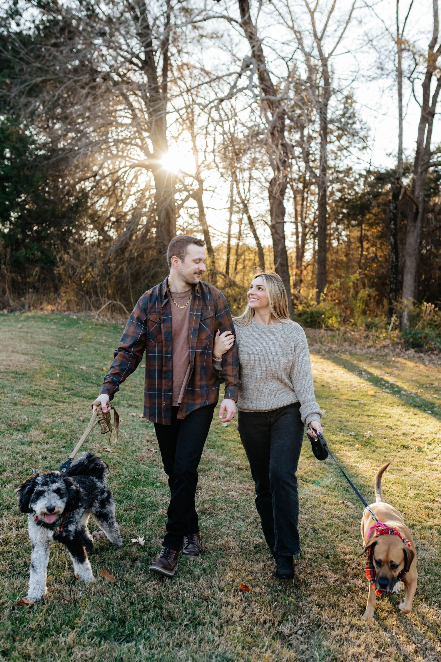 Two dogs join their owners for a sunset walk in a grassy field.