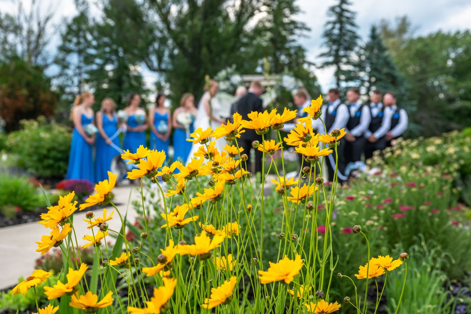 Yellow flowers in focus with a wedding party ceremony in a colorful garden in the background.