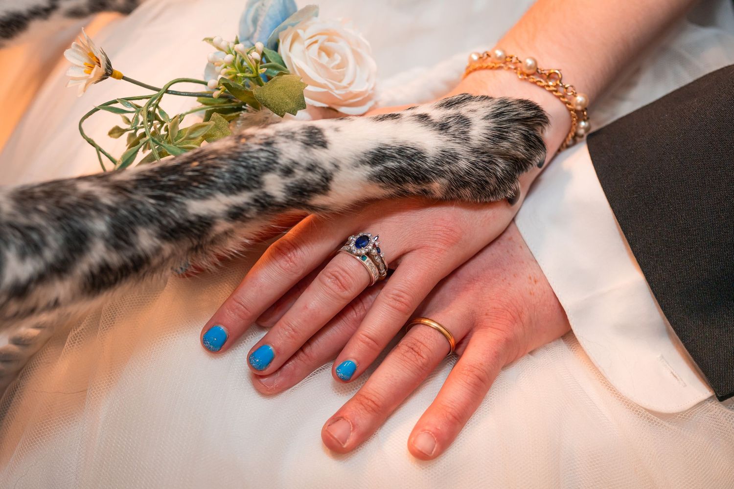 Close-up of bride and groom hands with sapphire engagement ring and blue nails beside a Dalmatian paw.