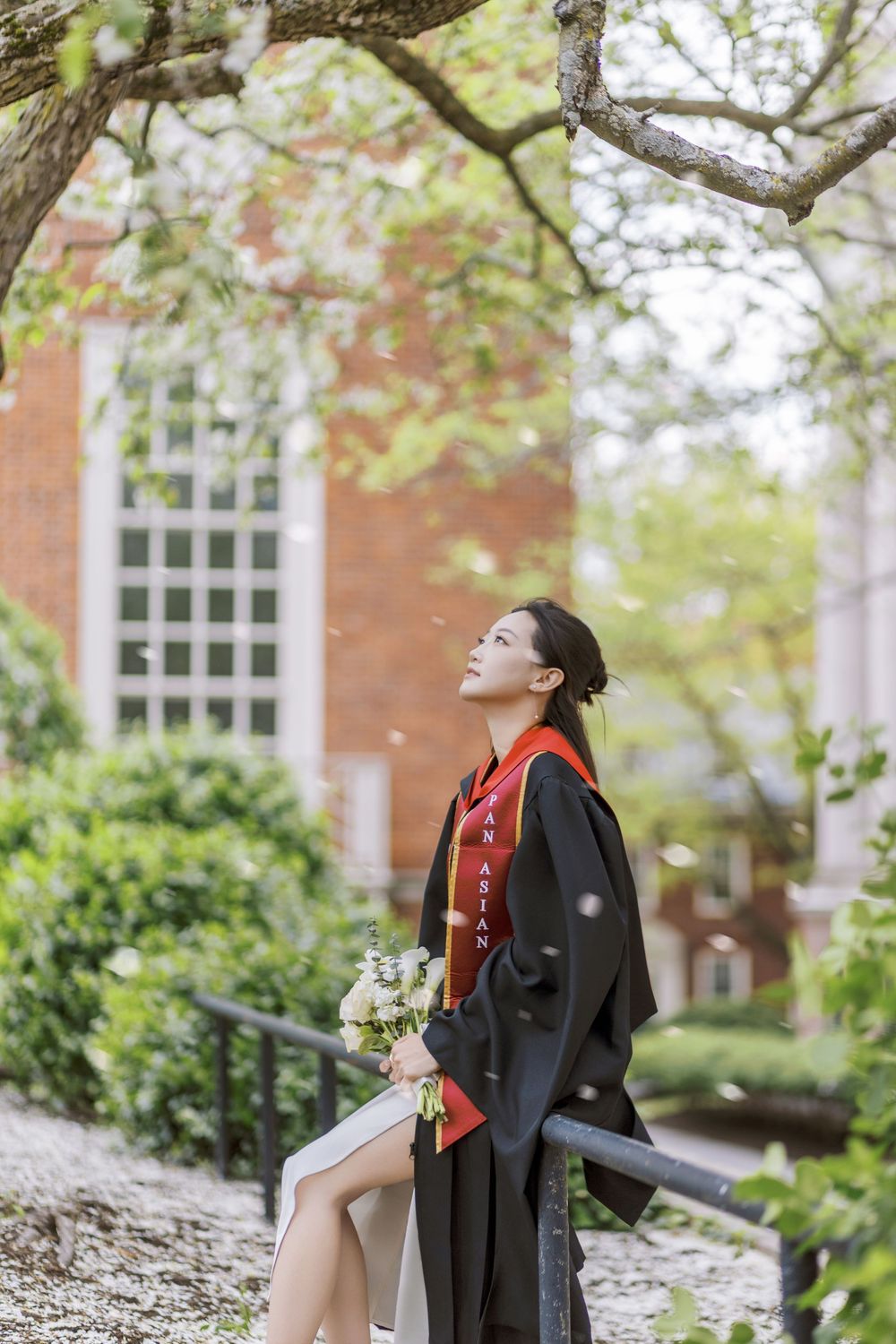 Harvard Graduate in black gown with red sash holds flowers, gazing up at blooming trees on a college campus.