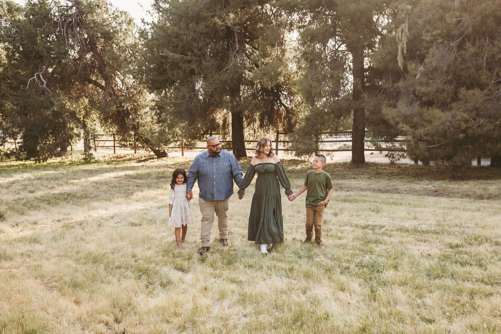 Family of four holding hands walking through a sunlit green meadow surrounded by tall trees.