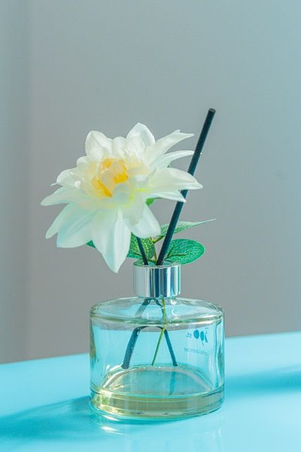 White lotus flower in a glass reed diffuser bottle with black sticks on a blue surface.