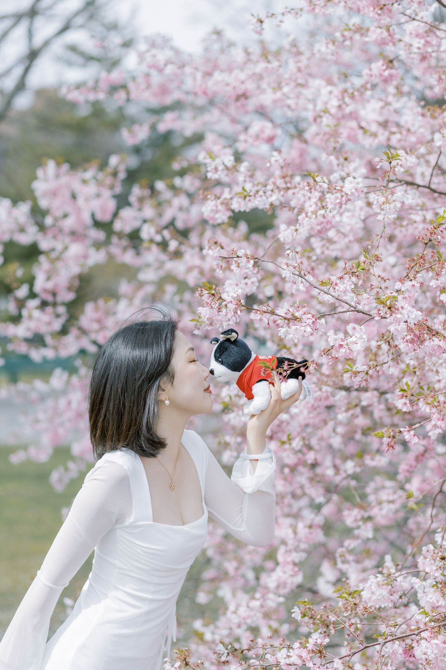 Boston University Graduate in white dress holding a camera figurine among pink cherry blossom trees in spring.