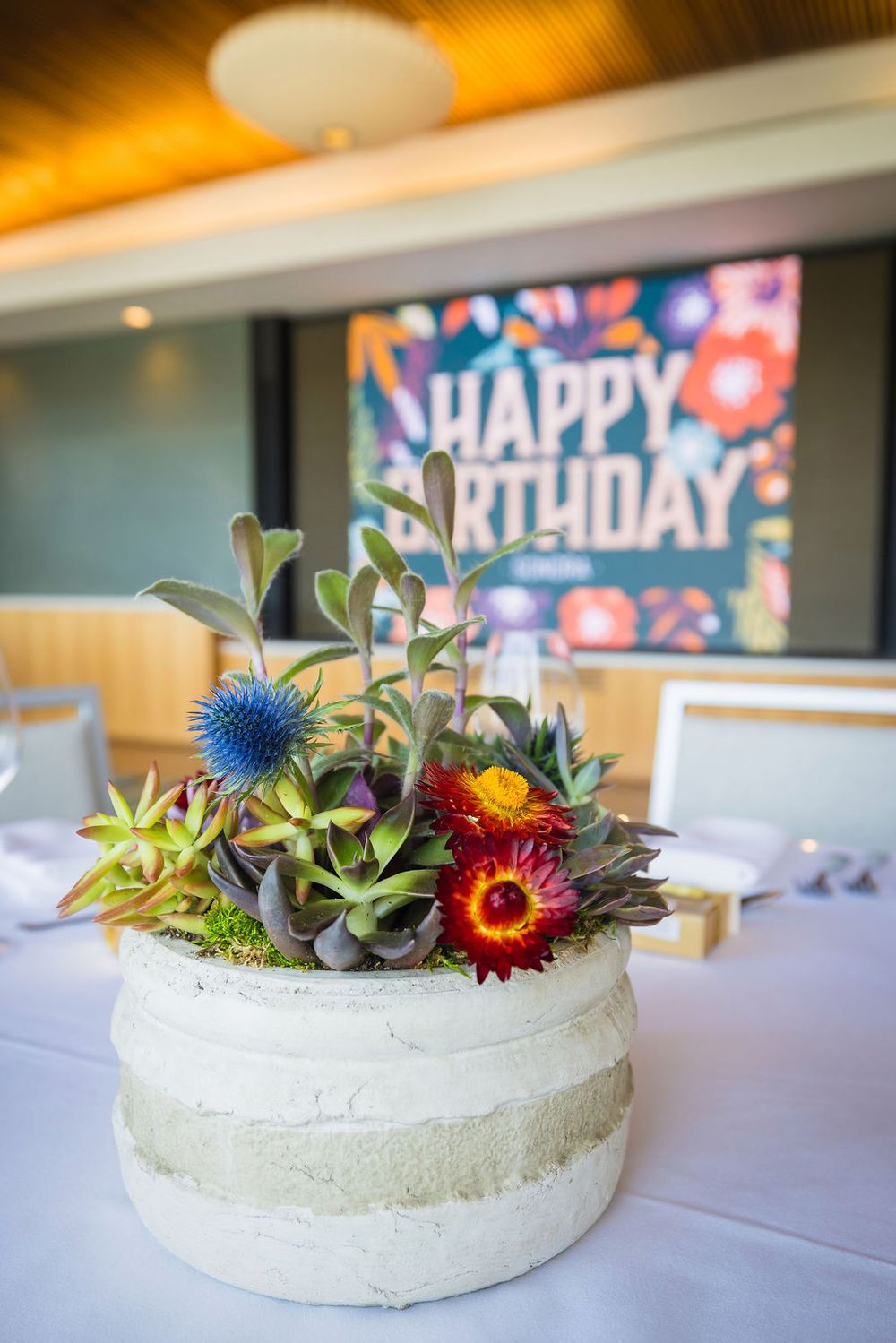 Succulent centerpiece arrangement in a concrete pot at a Happy Birthday party celebration.