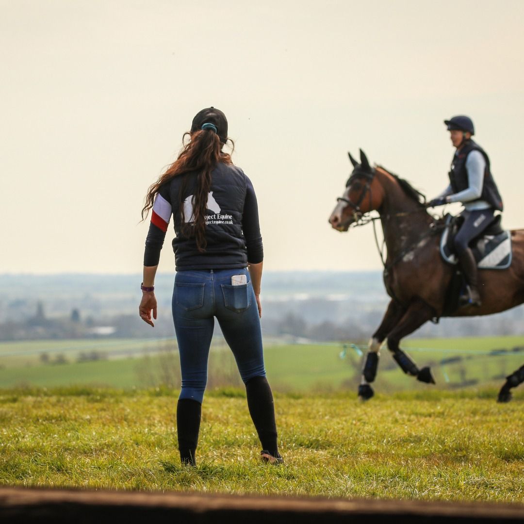 A sequence of photos showing a person falling while jumping with a horse in a grassy field at sunset.