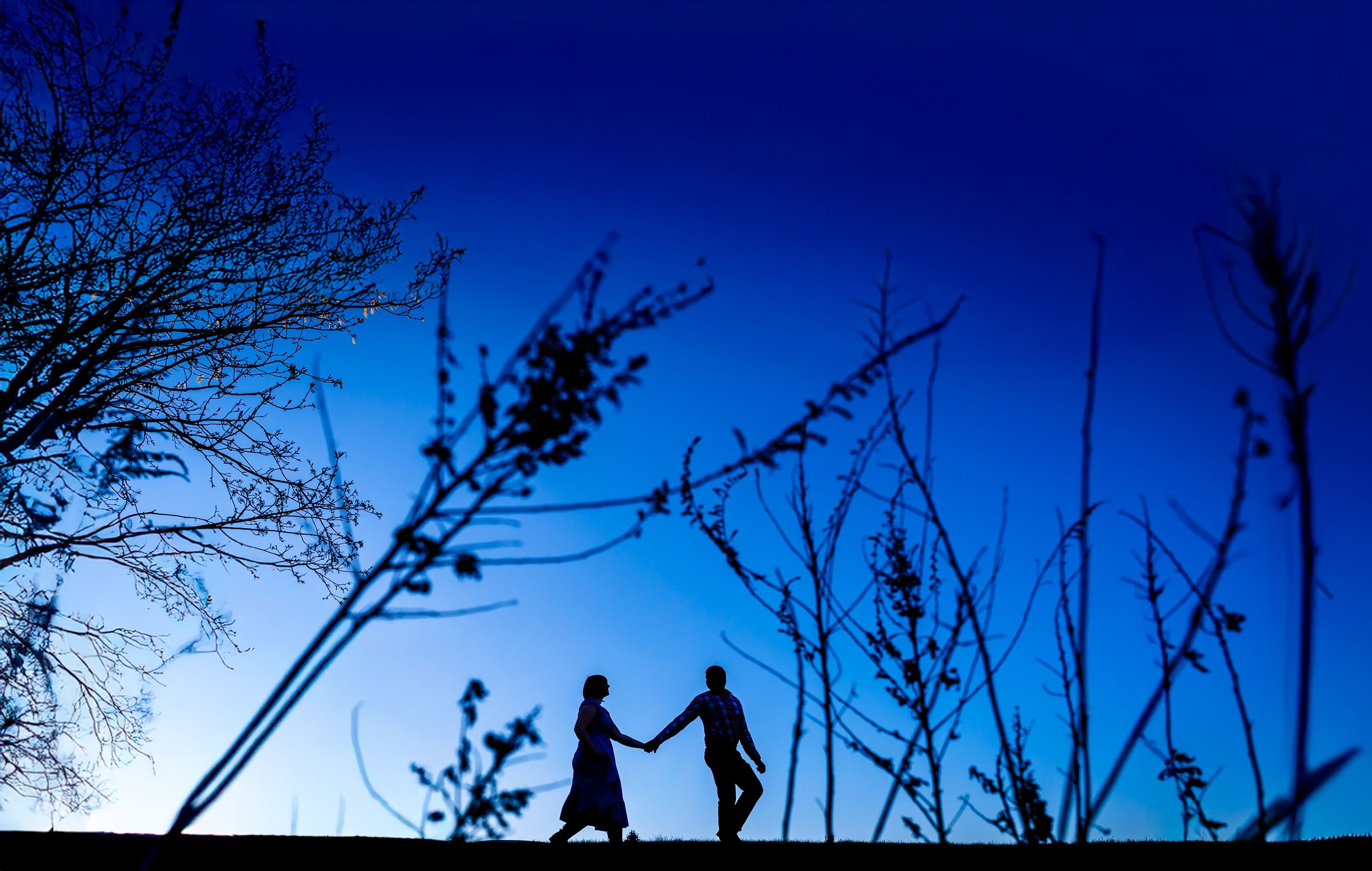 Silhouette of a couple holding hands at twilight against a vivid blue sky.