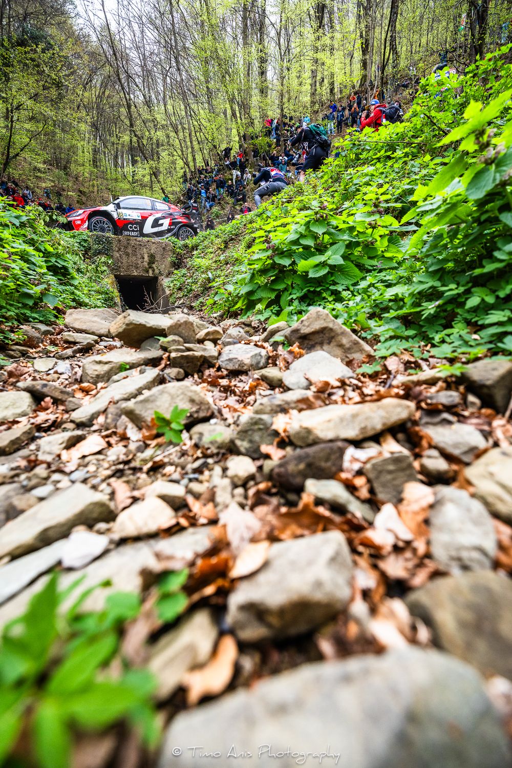 Rally car racing through a forest stage with spectators watching from a rocky hillside amid lush green foliage.