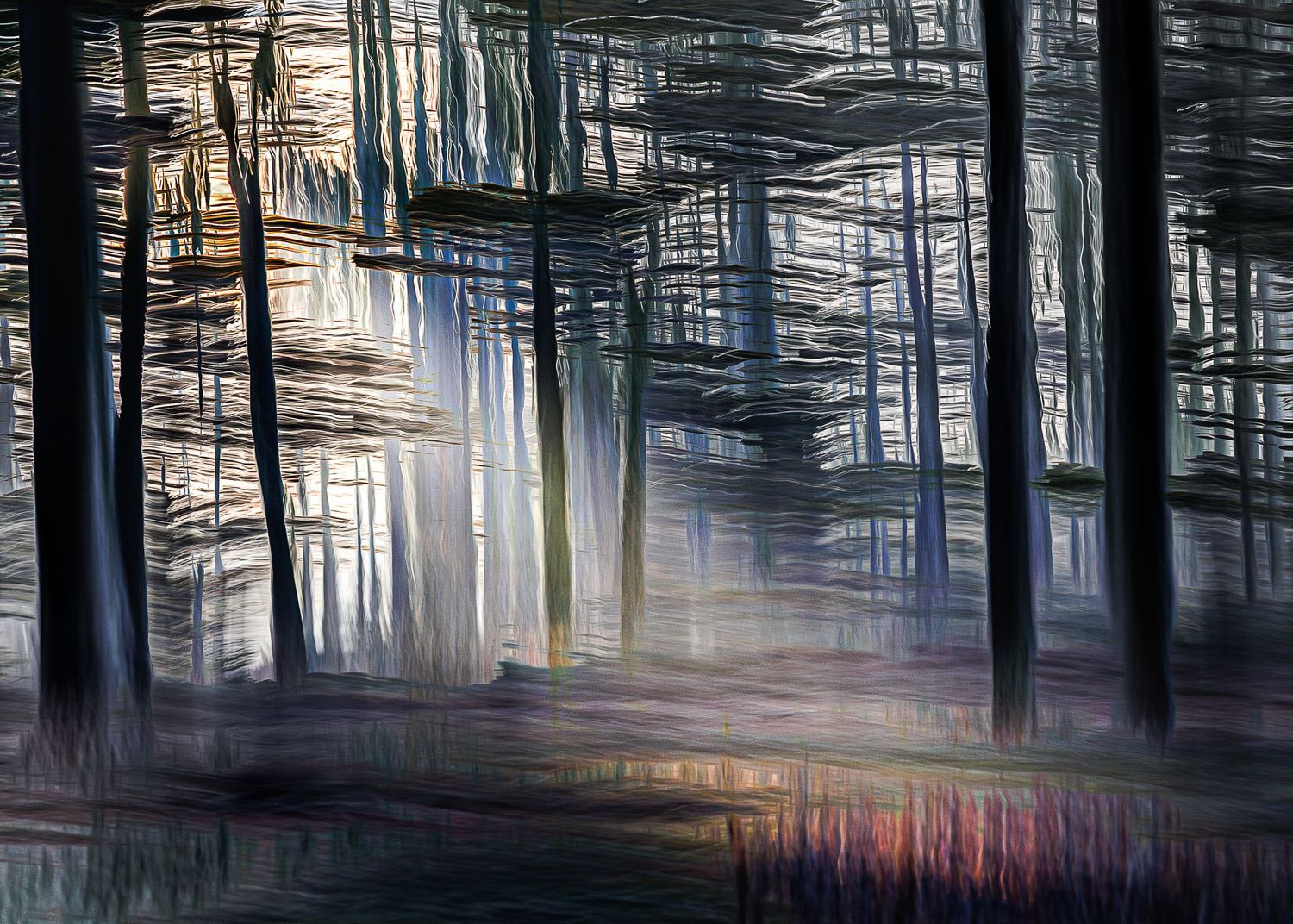 #ICM #Pictorialisme #ExpositionsMultiples #MotionBlur