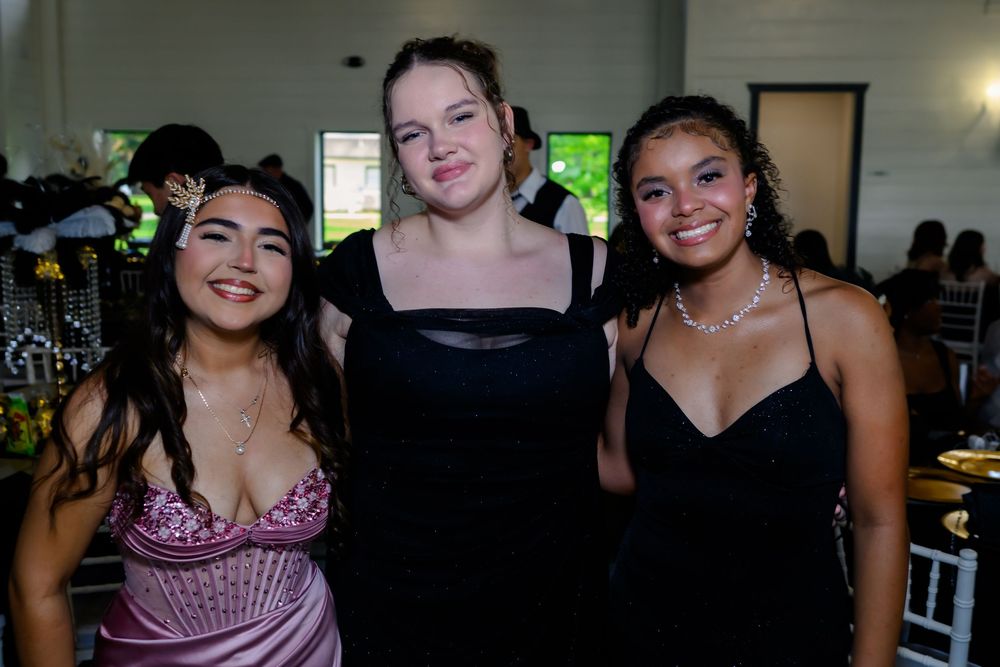 Three elegantly dressed friends pose together at a formal event wearing evening gowns in black and pink.