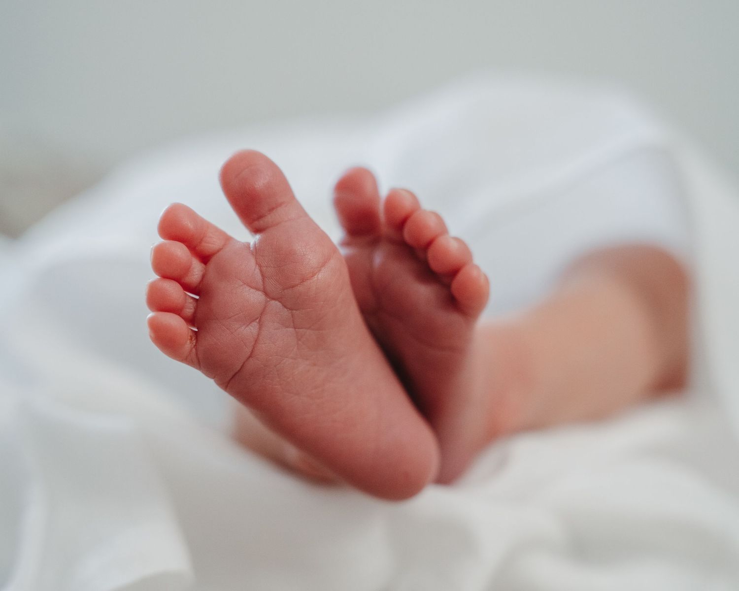 Close-up shot of tiny newborn baby feet against white blanket background.