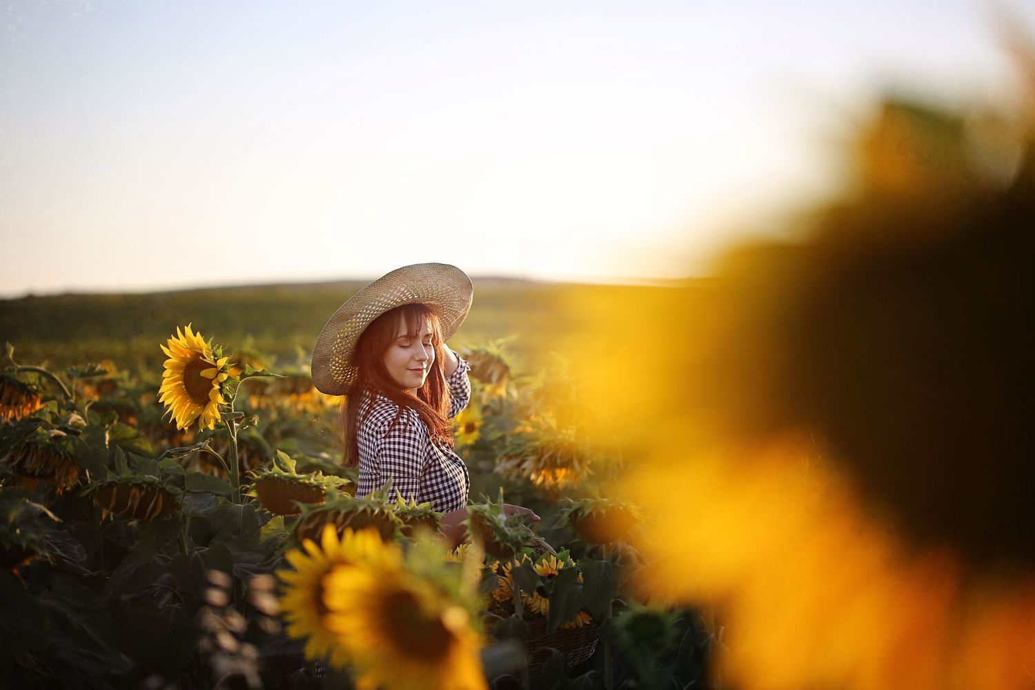 Dreamy sunlit portrait in a golden sunflower field at sunset.