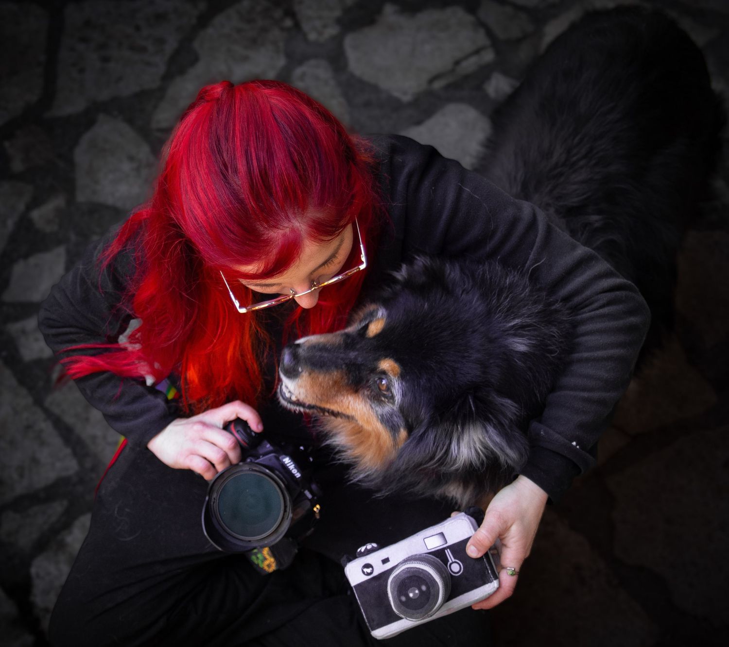 .photographe animaux de compagnie