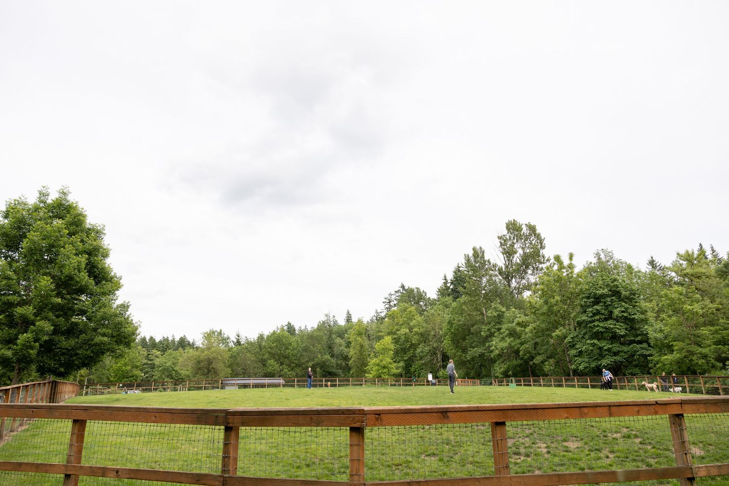 West Waluga Dog Park in Lake Oswego, oregon