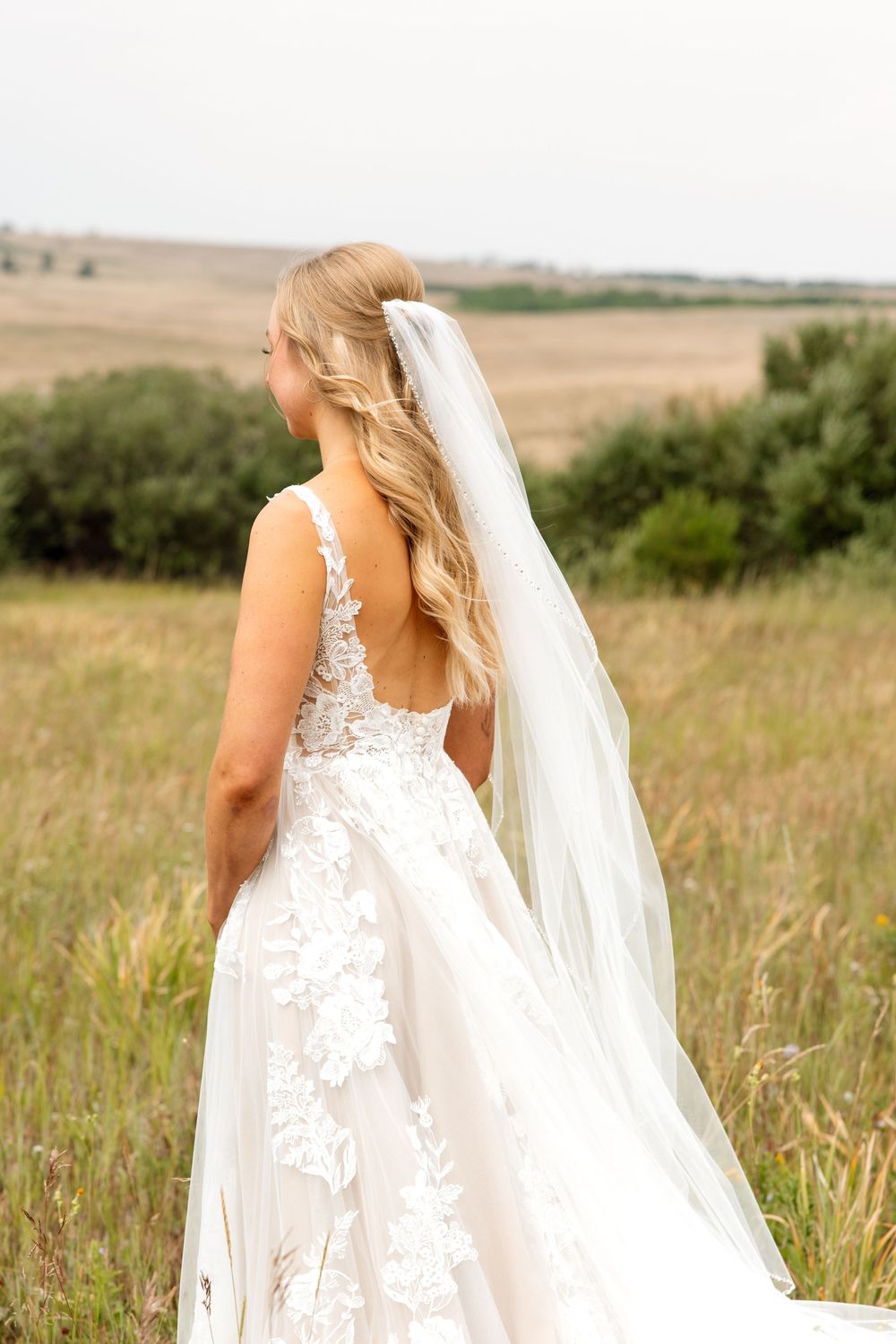 A wedding dress with delicate lace details and long flowing veil is shown from behind in a rustic outdoor field setting.