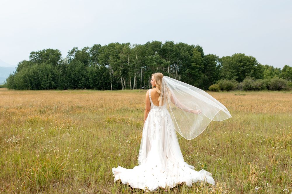 A flowing white wedding dress with elegant veil billows in the breeze across a golden summer meadow with tree line backdrop.