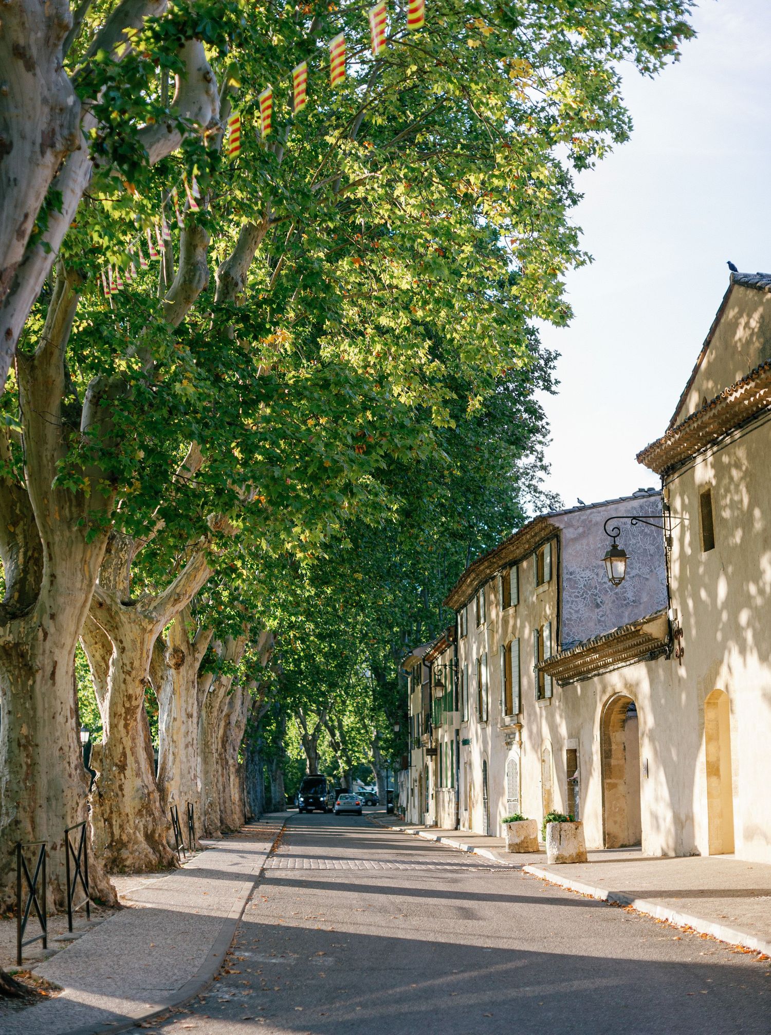 Tree-lined street with historic stone buildings and dappled sunlight creating shadows on a peaceful village road.