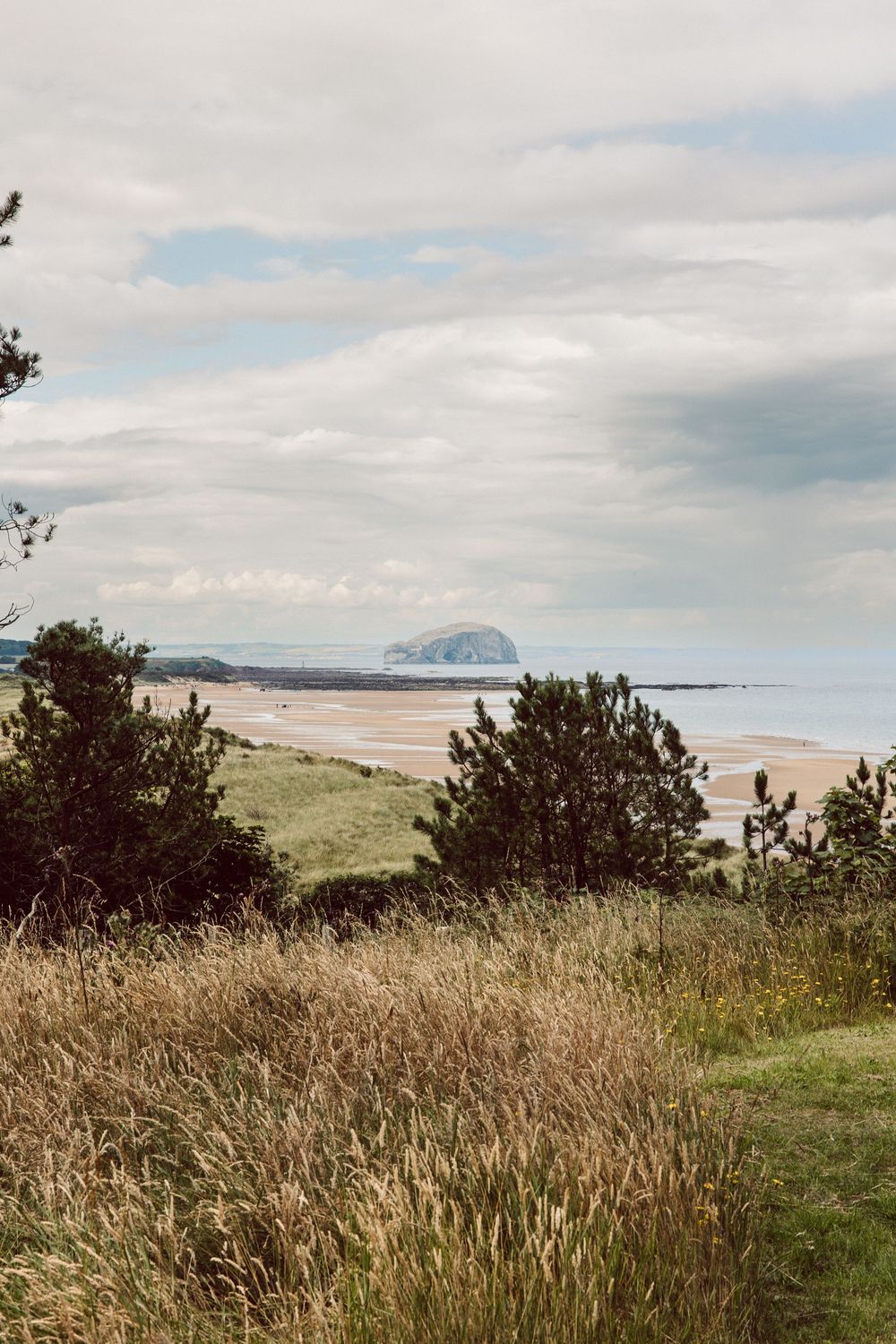 Panoramic coastal view of Bass Rock island with grassy foreground and cloudy skies over the Scottish coastline.