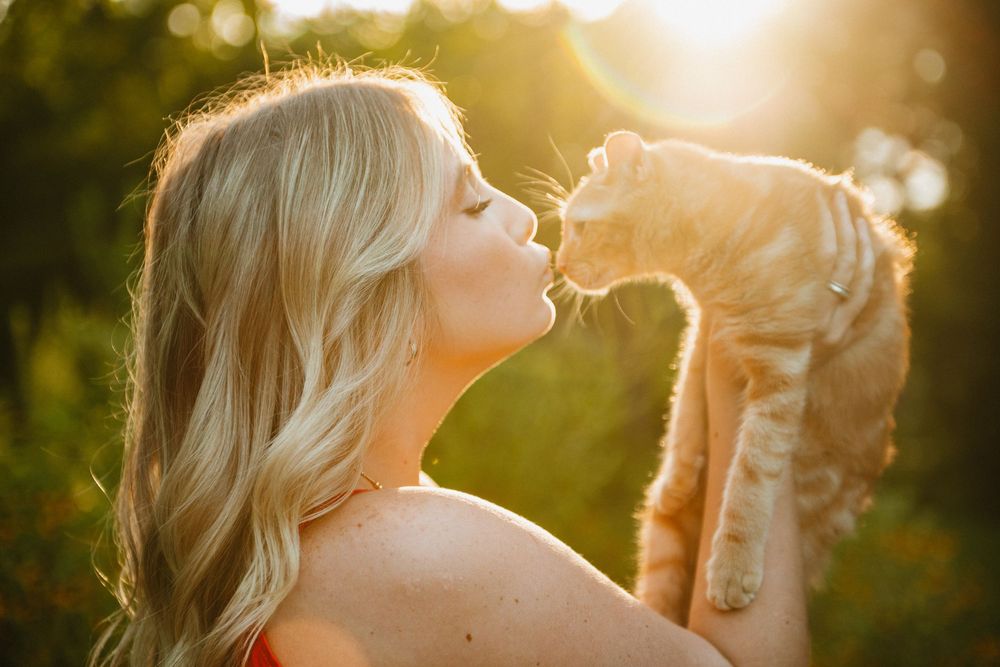 A woman kisses her small dog in a golden sunlit field during sunset creating a dreamy backlit silhouette.