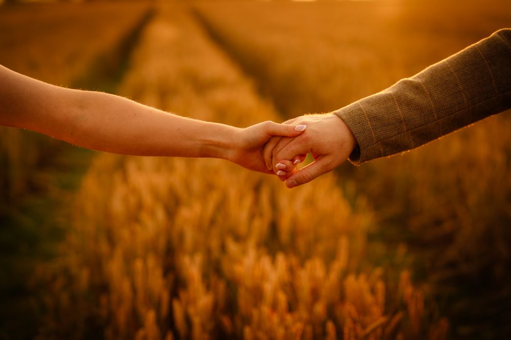 Close-up shots of hands and golden wheat fields create an artistic composition in warm autumn lighting.