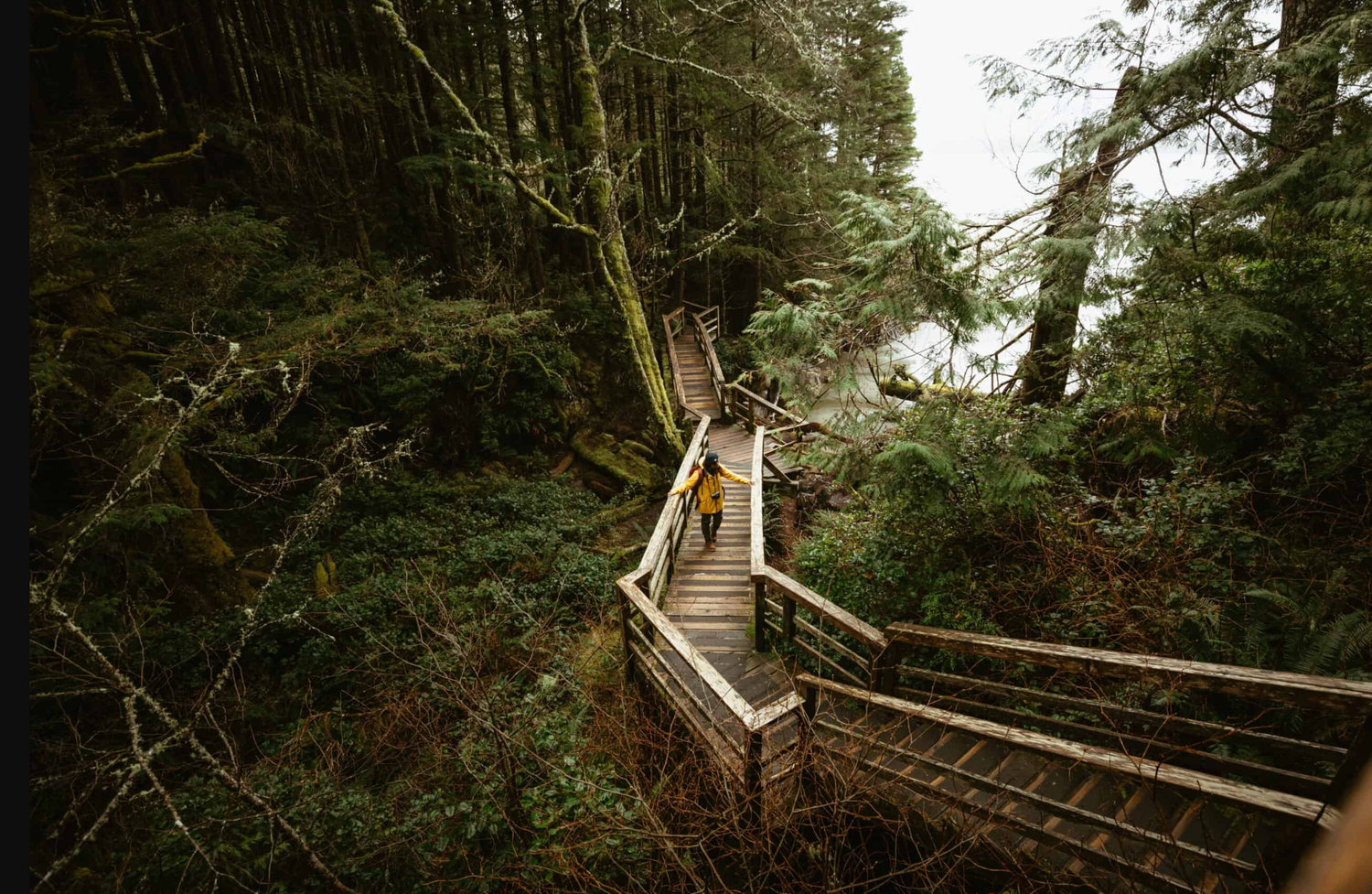 woman in a yellow raincoat walks on wooden boardwalk through rainforest with coastal views.