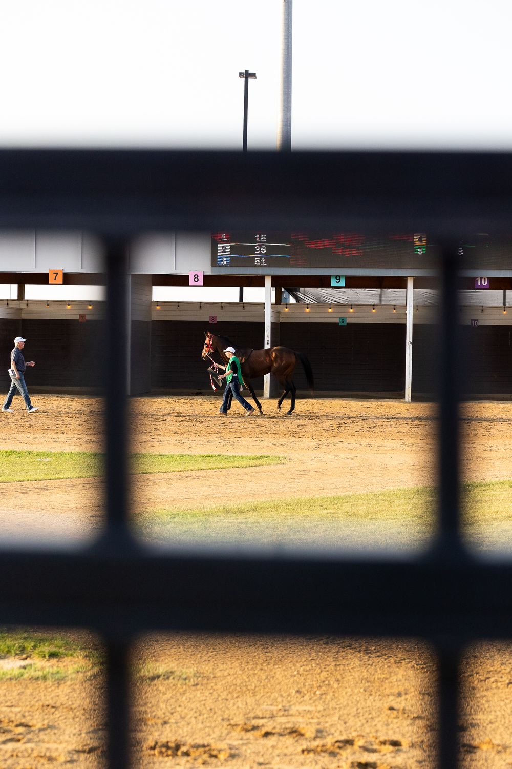 A horse and handler viewed through metal fence rails at a racing facility.