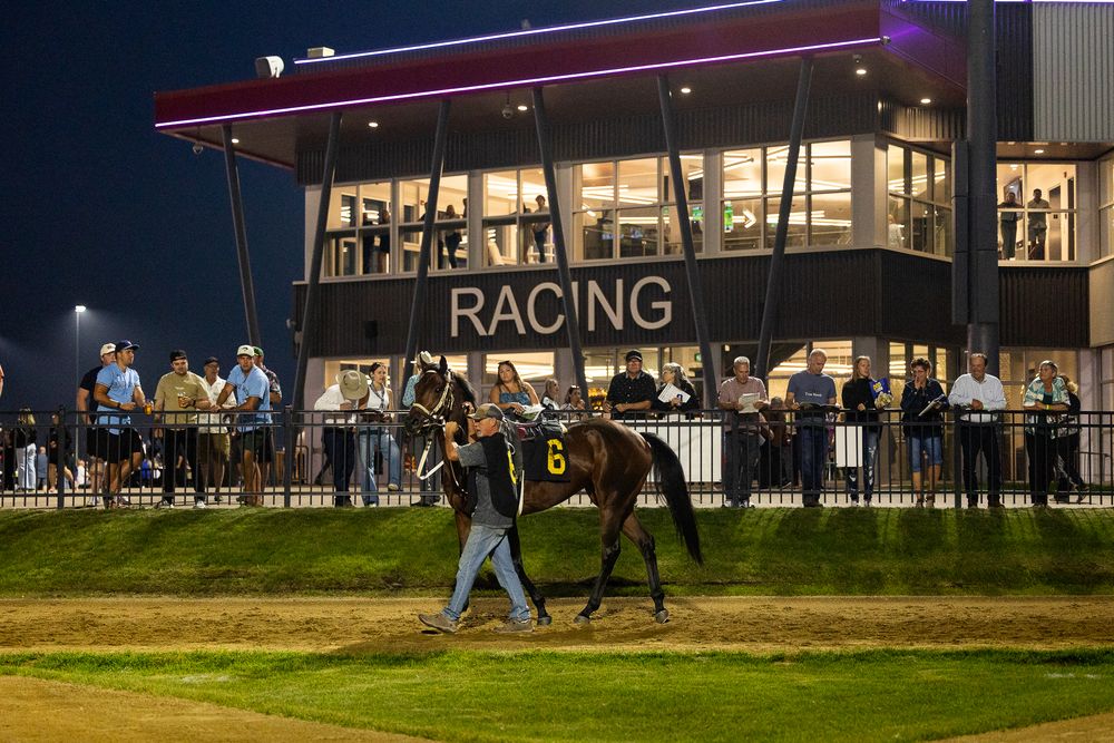 Horse being led past crowded grandstand at night during live horse racing event.